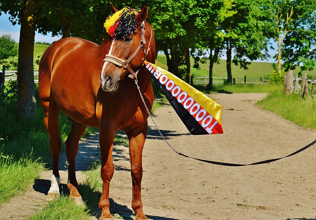 给予他足够 给予他足够